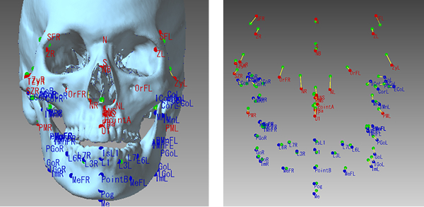 図：標準データとランドマークの推定点