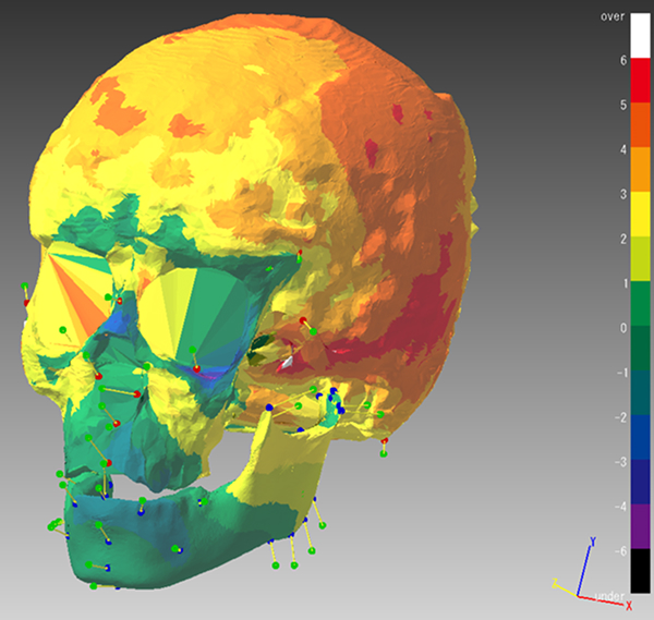 図：カラーマップ表示の実行結果
